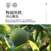 天单 化橘红胎果+果皮·御庭礼盒 广东化州特产 236g（胎果140克、果皮96克） 商品缩略图3