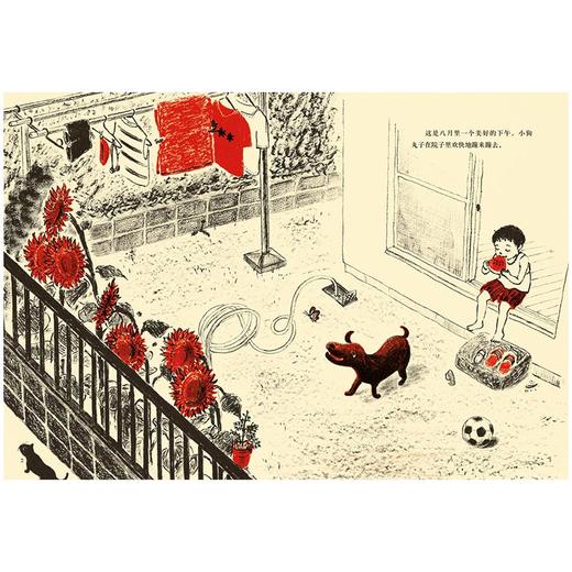 【东方娃娃】寻找丸子7-10岁平装 逆商教育情绪管理儿童图画书睡前故事读物亲子阅读 商品图1