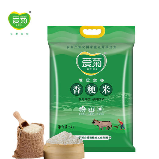 爱菊香粳米5kg 商品图5