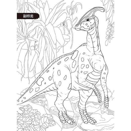 恐龙涂色 珍藏版 商品图3