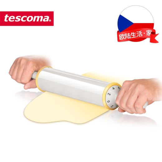 捷克进口/tescoma DELICIA系列 进口擀面杖（电商专享） 商品图2