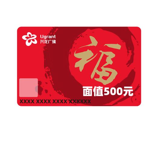 【兴龙广缘超市购物卡】500元面值购物卡   173713 商品图4