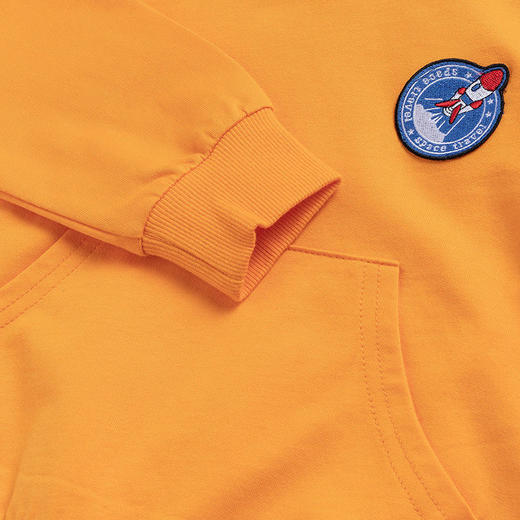 贝贝怡童装男童宝宝连帽套头卫衣洋气时尚新款透气亲肤儿童上衣 商品图9