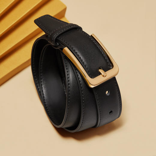 Safiya/索菲娅 时尚装饰百搭皮带针扣女士宽腰带女牛仔裤皮带女皮带SF505007Y 商品图2