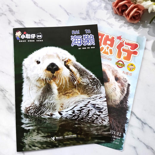 《小聪仔》系列 商品图0