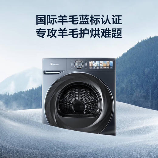 小天鹅（LittleSwan）洗烘套装 TG100MS9ILZ+TH100-H9WZ 商品图3