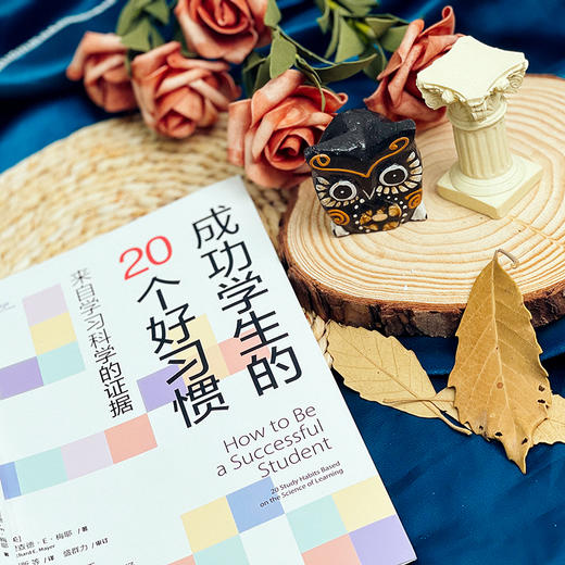 成功学生的20个好习惯 来自学习科学的证据 大夏书系 培养学习力译丛 商品图7