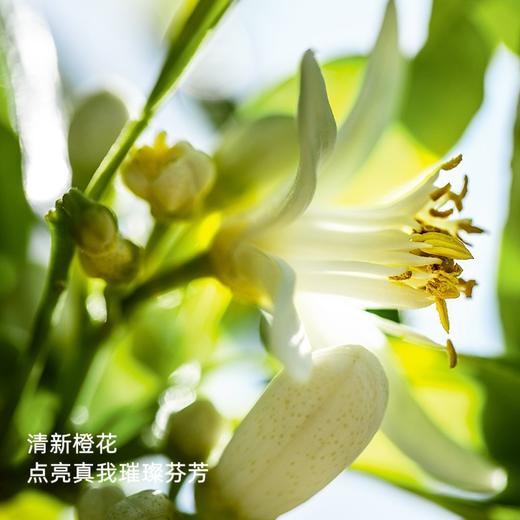 法国 Dior迪奥 经典真我女士香水 (花香调 )50ml/100ml 商品图5