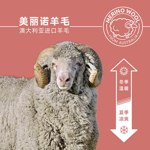 赛乐ZEALWOOD棒球帽女显脸小百搭运动帽子男女韩版鸭舌帽防晒帽 商品图3