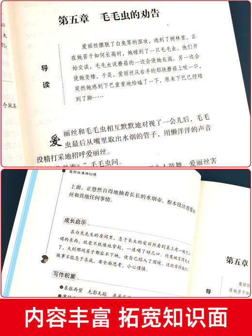 鲁滨逊漂流记六年级下册必读的课外书原著老师推荐书目爱丽丝梦游仙境漫游奇尼尔斯骑鹅旅行记汤姆索亚历险记全套快乐读书吧 商品图4