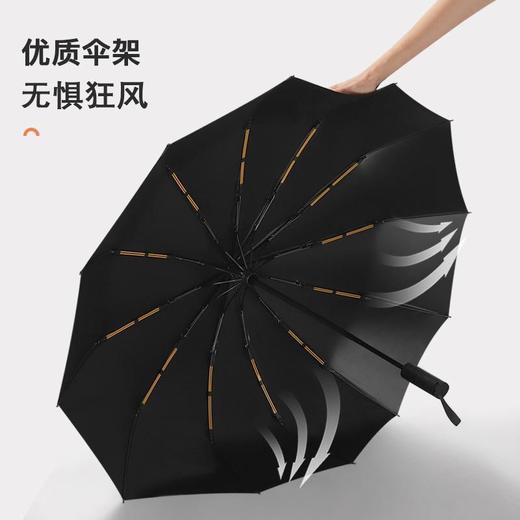 【全新12骨双龙骨】全自动折叠两用晴雨伞【192-1】 商品图1
