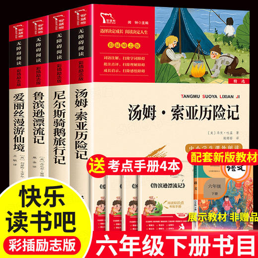 鲁滨逊漂流记六年级下册必读的课外书原著老师推荐书目爱丽丝梦游仙境漫游奇尼尔斯骑鹅旅行记汤姆索亚历险记全套快乐读书吧 商品图0