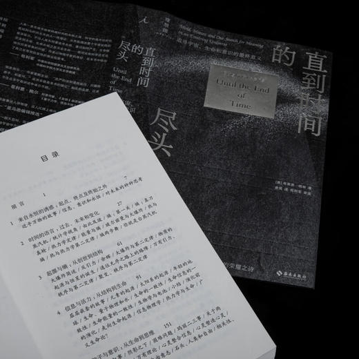 直到时间的尽头:追寻宇宙.生命和意识的最终意义 商品图4