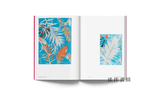 Luiz Zerbini: Botanica: Monotypes 2016–2020 / 路易斯·泽尔比尼：植物 单版画 2016-2020 商品图4