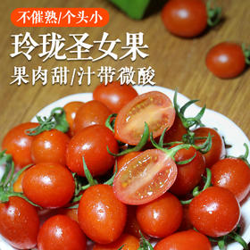 农家玲珑小番茄  个头小巧 酸甜可口 圣女果  1斤