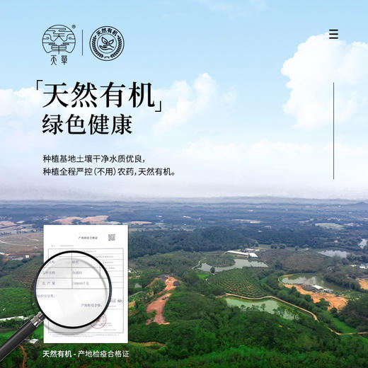 天单 化橘红胎果+果皮·御庭礼盒 广东化州特产 236g（胎果140克、果皮96克） 商品图8