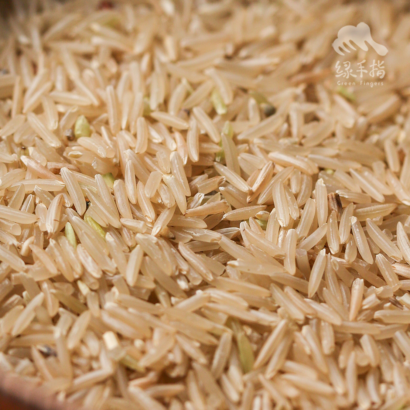 生态糙米 | 合作生产* Eco-brown rice | Coproduction