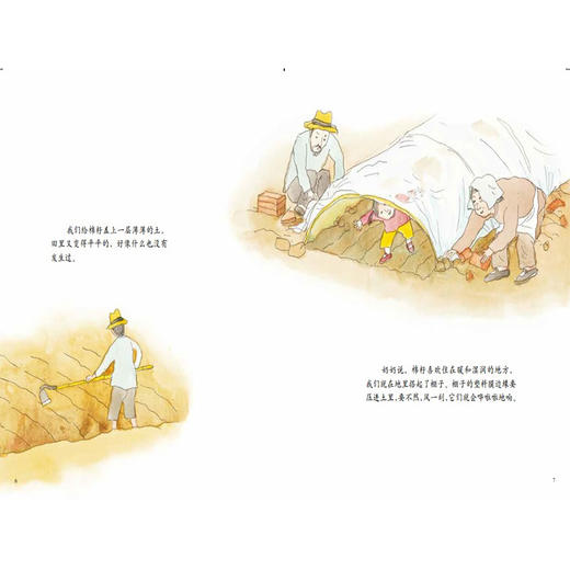 好暖好暖的棉花 芳芳娃娃3-6-8岁平装棉花的科普绘本图画书 植物科普绘本 商品图1