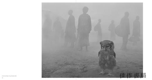 Nick Brandt: The Day May Break / 尼克·布兰特：破晓 商品图2