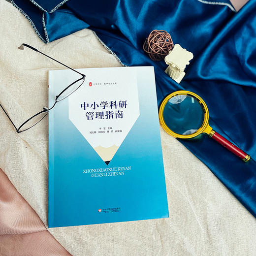中小学科研管理指南 大夏书系 教师专业发展 商品图4