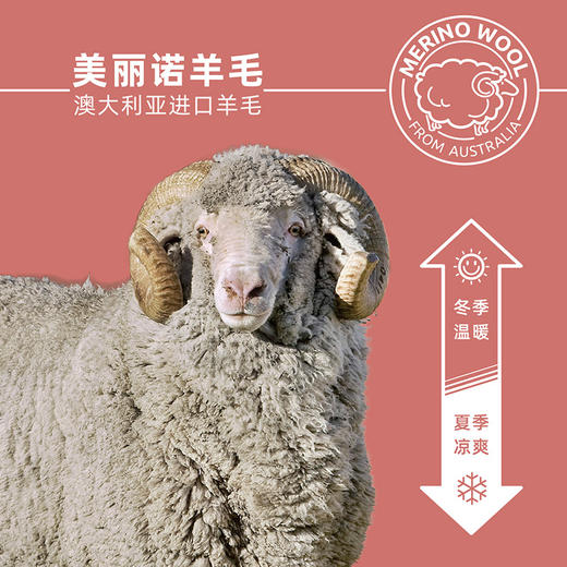 赛乐ZEALWOOD美利奴羊毛渔夫帽百搭庶阳帽防晒防紫外线 商品图4