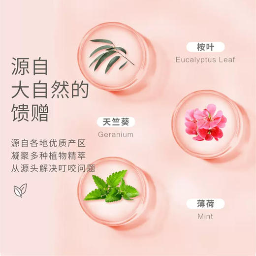 29年1月 每萌 植物精油贴 防护贴 30p 商品图2