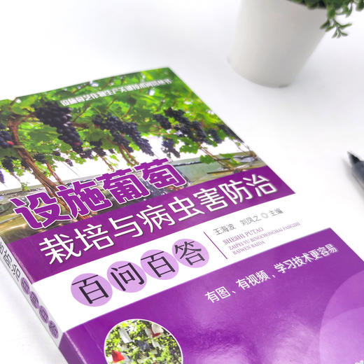 设施葡萄栽培与病虫害防治百问百答 【中国农业出版社官方正版，可开发票，下单时留开票信息和电子邮箱】 商品图1