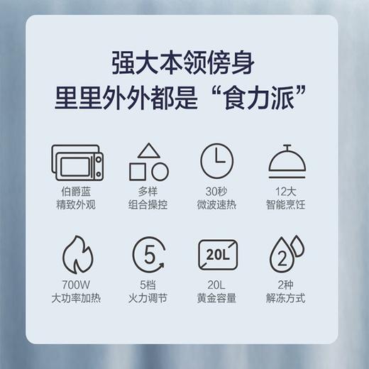 海尔(Haier)多功能平板微波炉20L大容量30秒速热5档火力HW-Z20E2A 商品图1