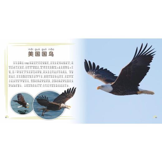 我的第一本动物知识大全 商品图1