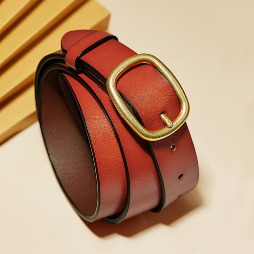 Safiya/索菲娅 时尚装饰针扣腰带女士百搭皮带牛仔裤腰带SF505005Y 商品图2