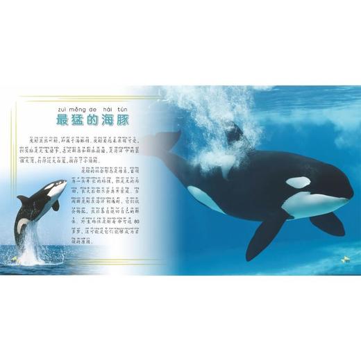 我的第一本动物知识大全 商品图3