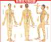 【硅胶拍痧板】 经络拍 家用刮痧拍 加厚拍痧板 商品缩略图5