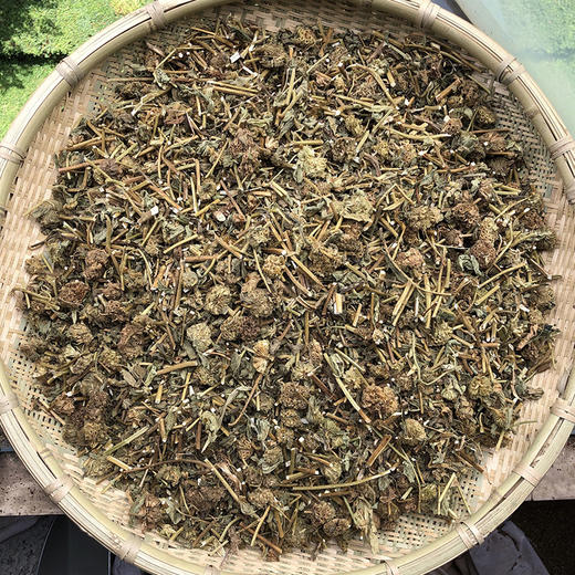 绣球防风 商品图0