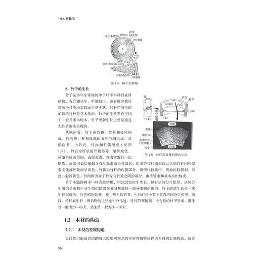 竹木材化学/金贞福/金光范/李倩/俞友明/浙江大学出版社/木材科学与技术/高分子材料科学/生物质工程等专业适用 商品图4