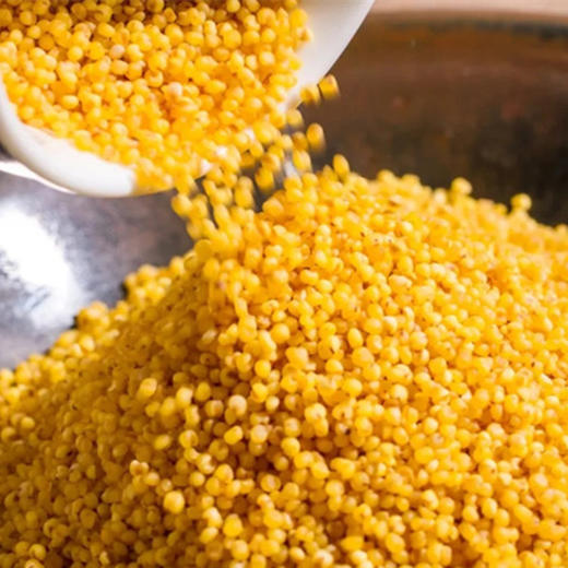 【超值爆品】米脂黄小米5KG 超值套组 500g*5*2组 来自陕西的天然营养 不使用化肥 纯天然无污染 有机生态种植 无添加无染色 商品图2