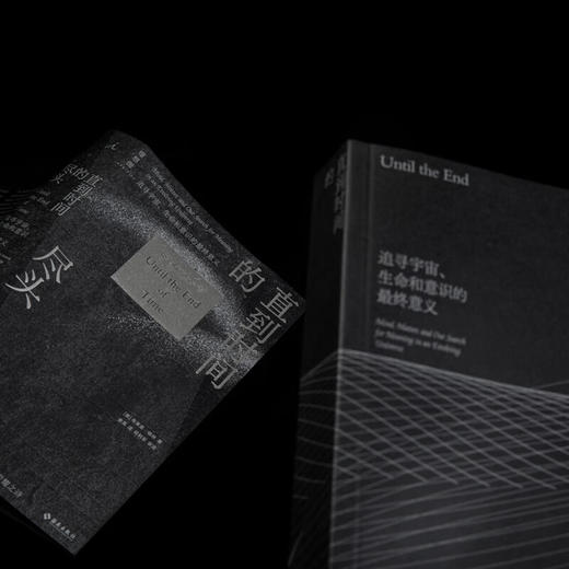 直到时间的尽头:追寻宇宙.生命和意识的最终意义 商品图3