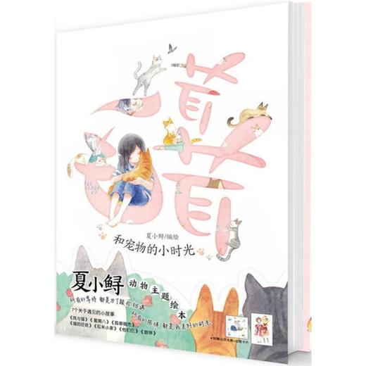 毛茸茸 商品图0