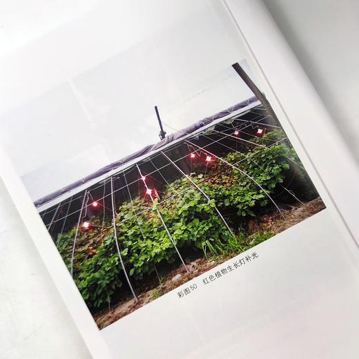 设施葡萄栽培与病虫害防治百问百答 【中国农业出版社官方正版，可开发票，下单时留开票信息和电子邮箱】 商品图4