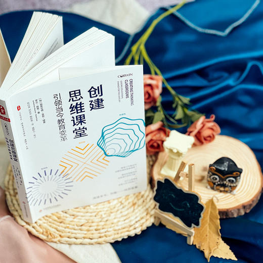 创建思维课堂 引领当今教育变革 大夏书系 培养学习力译丛 商品图4