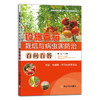 设施番茄栽培与病虫害防治百问百答【中国农业出版社官方正版，可开发票，下单时留开票信息和电子邮箱】 商品缩略图0