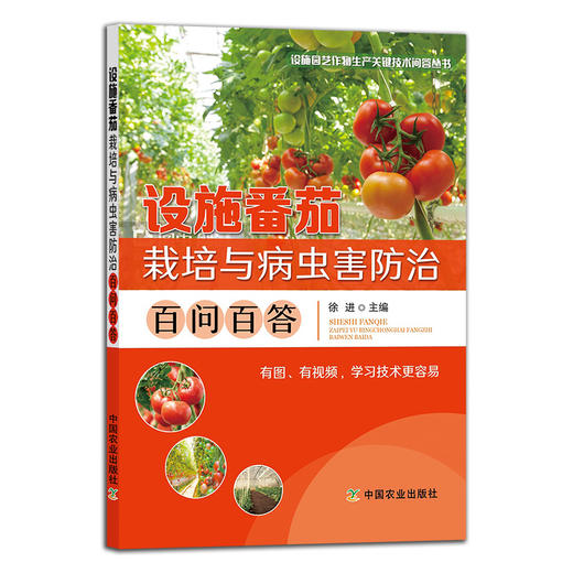 设施番茄栽培与病虫害防治百问百答【中国农业出版社官方正版，可开发票，下单时留开票信息和电子邮箱】 商品图0