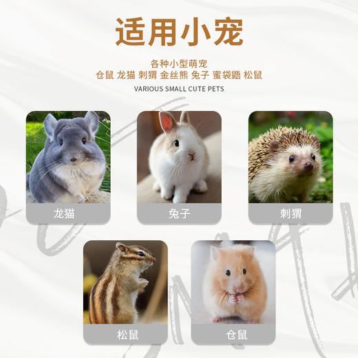 仓鼠
小宠物运输盒 22*22*12cm防出逃花枝鼠龙猫外带笼 箱包批发 商品图1