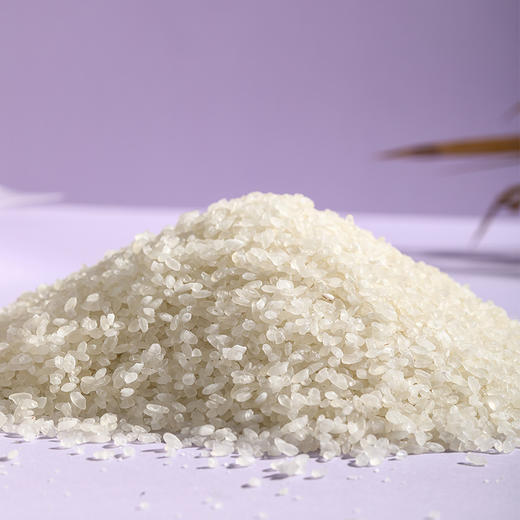 森无忧脱蛋白大米零蛋白质低蛋白大米主食 商品图2