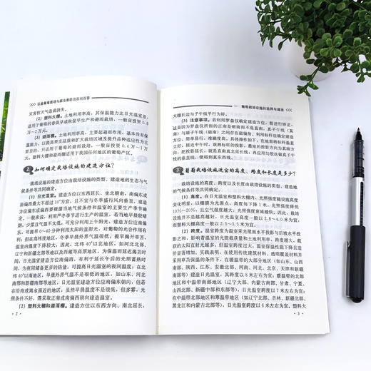 设施葡萄栽培与病虫害防治百问百答 【中国农业出版社官方正版，可开发票，下单时留开票信息和电子邮箱】 商品图2