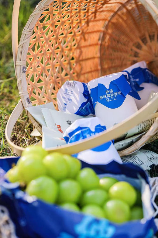 新疆原味【马三三酸奶】儿时味道！源自天山牧场 天然浓郁0添加，宝宝酸奶 180g*12罐〜 商品图6