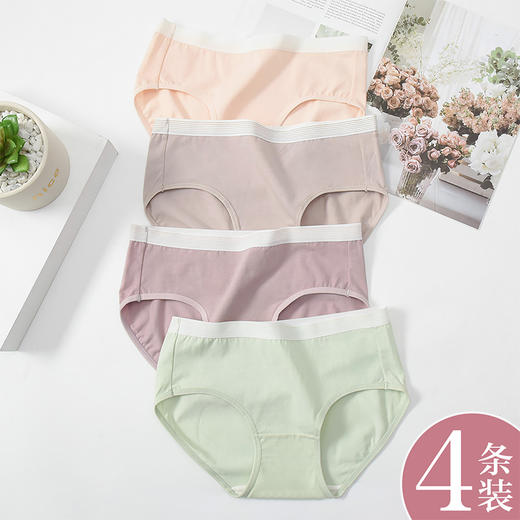 洁丽雅4条装中腰纯棉女士内裤简约舒适双层纯棉内裆内裤女 商品图5
