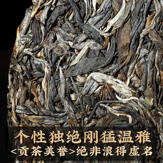 2023春茶 吉顺号困鹿山古树普洱茶生茶云南七子饼茶叶 商品图1