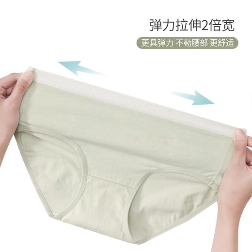洁丽雅4条装中腰纯棉女士内裤简约舒适双层纯棉内裆内裤女 商品图2