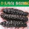 优选|即食精品米刺海参  8-12头 免泡发  肉厚肥美 内筋粗壮 Q弹有韧劲  500g/袋 商品缩略图5