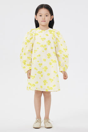 jnby  23年春款  提花袖笼宽松长袖连衣裙  1N3G14150